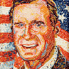 bushSr-thumbnail